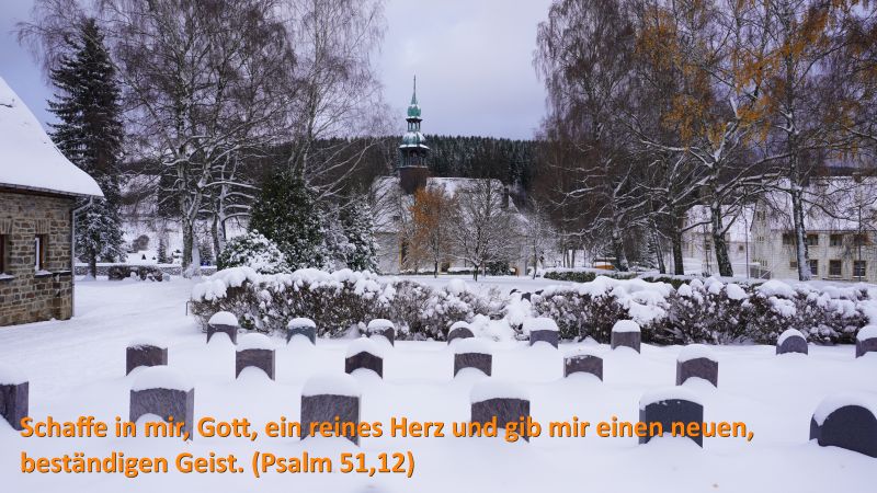 aktuelles Bild
